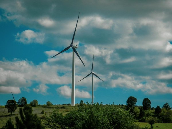 Quels sont les critères à considérer lors de l'achat de panneaux solaires?